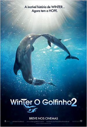 Winter, o Golfinho 2  (2014)