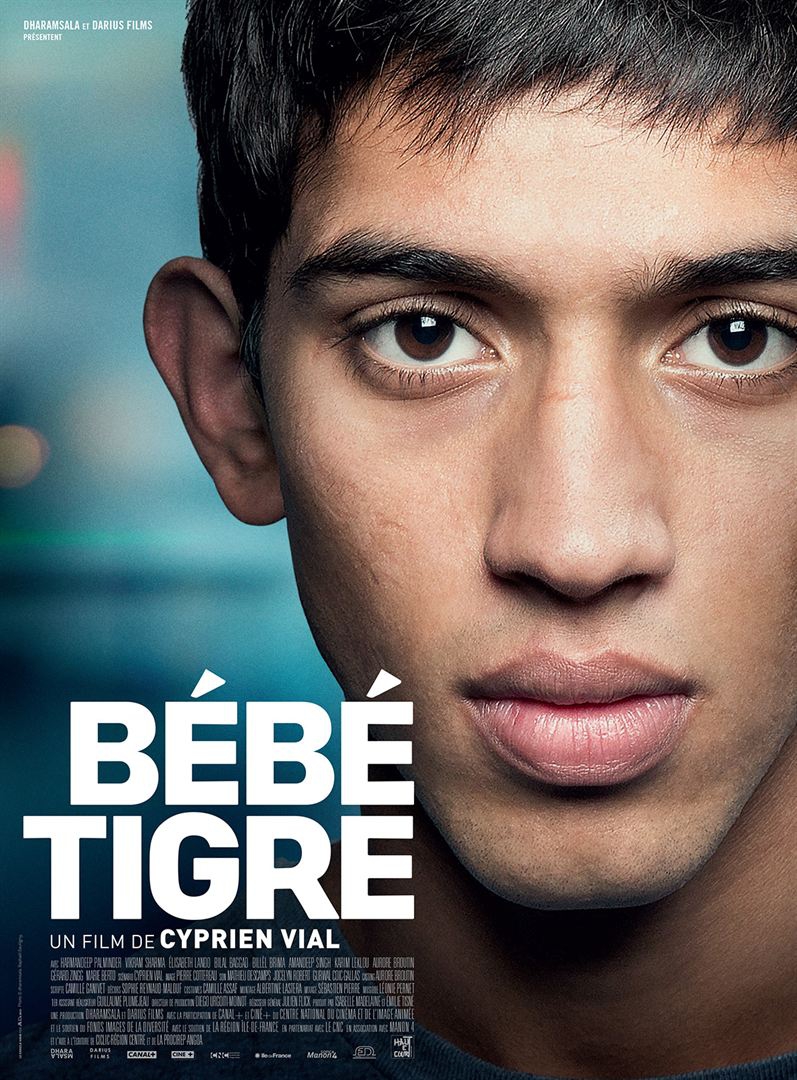 Jovem Tigre  (2014)