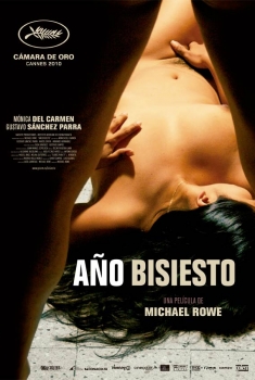Ano Bissexto (2010)